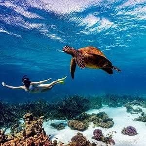 A snorkeler swimming alongside a sea turtle over a coral reef off Watamu