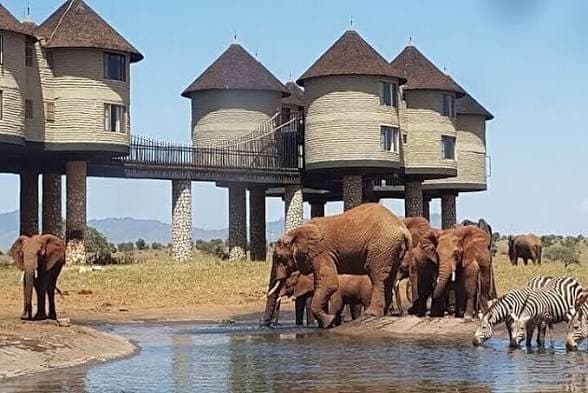 An elevated safari lodge overlooking a waterhole with elephants and zebra below